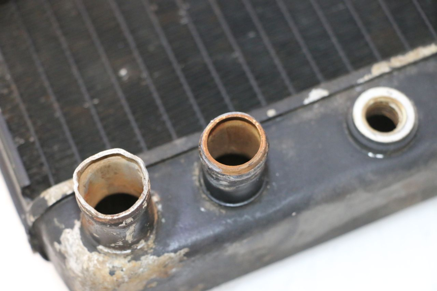 photo de RADIADOR HONDA FES PANTHEON 2T 125 (1998 - 2002) - Zoom estado de uso