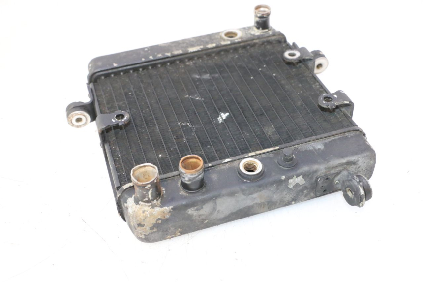 photo de RADIADOR HONDA FES PANTHEON 2T 125 (1998 - 2002) - Otra perspectiva