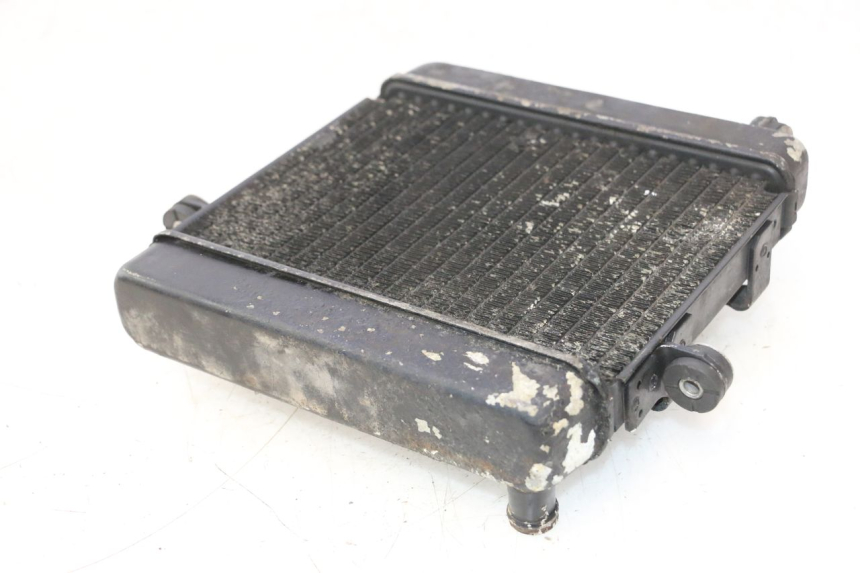 photo de RADIADOR HONDA FES PANTHEON 2T 125 (1998 - 2002) - Vista general del producto