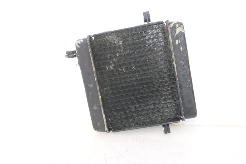 photo de RADIADOR HONDA FES PANTHEON 2T 125 (1998 - 2002) - Estado de la superficie y material