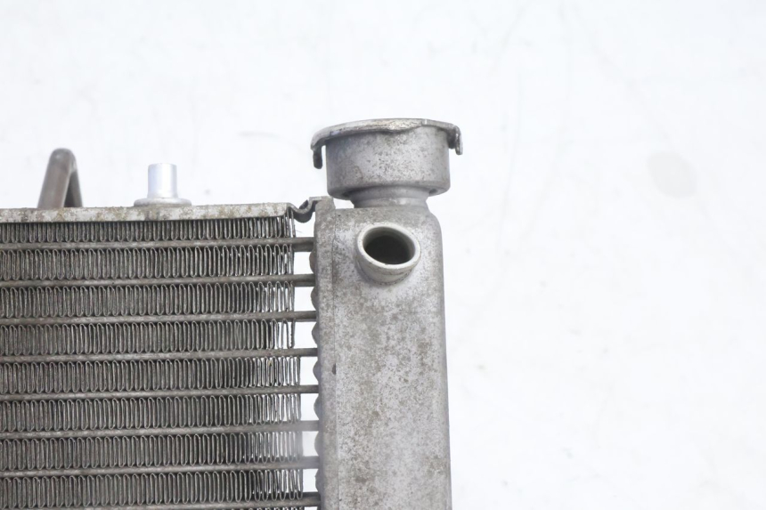 photo de RADIADOR  HONDA FES PANTHEON 125 (2003 - 2007) - Detalle de la pieza