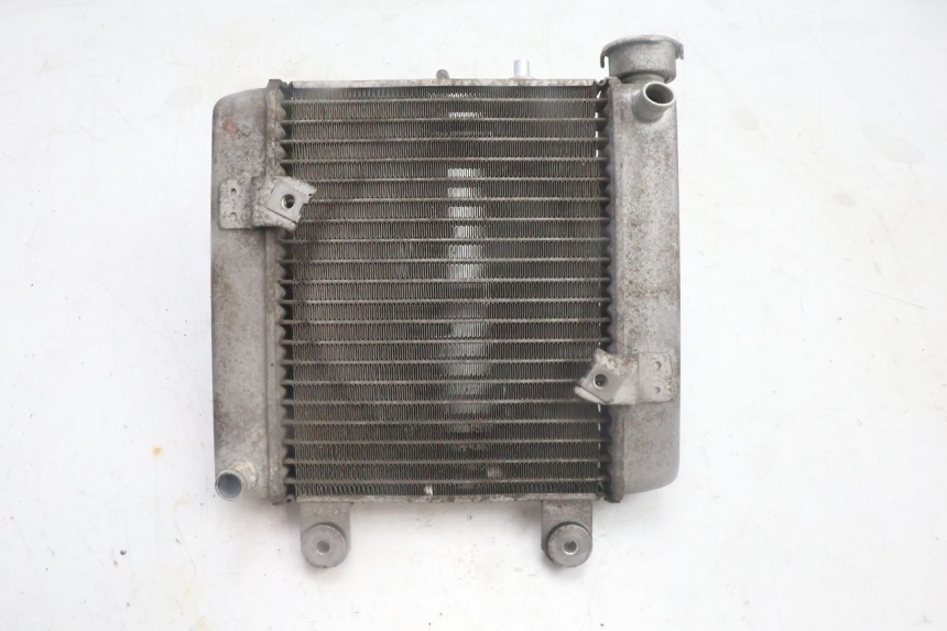 photo de RADIADOR  HONDA FES PANTHEON 125 (2003 - 2007) - Zoom estado de uso