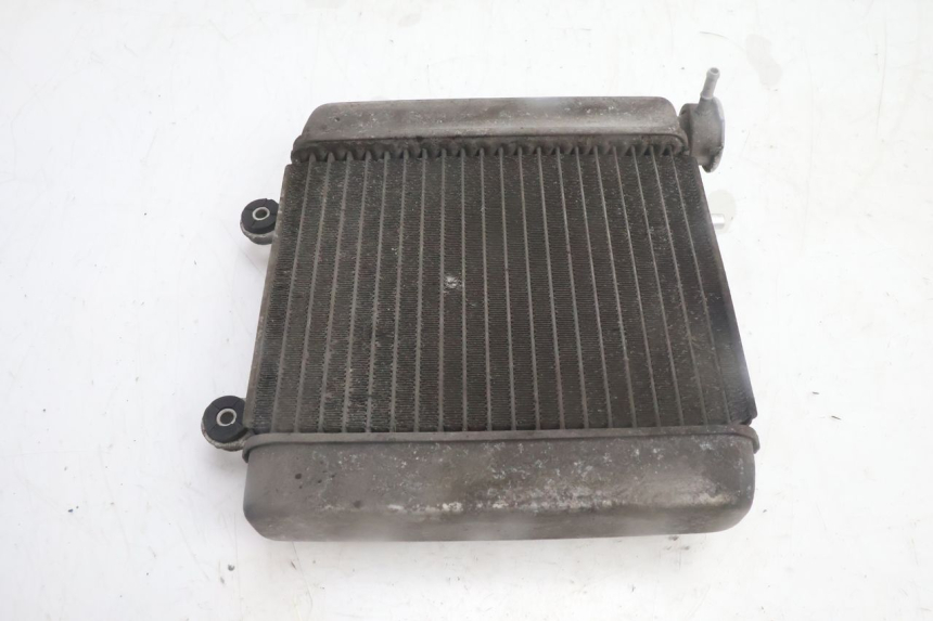 photo de RADIADOR  HONDA FES PANTHEON 125 (2003 - 2007) - Vista general del producto
