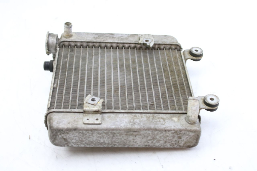 photo de RADIADOR HONDA FES S-WING SWING ABS 125 (2007 - 2015) - Zoom estado de uso