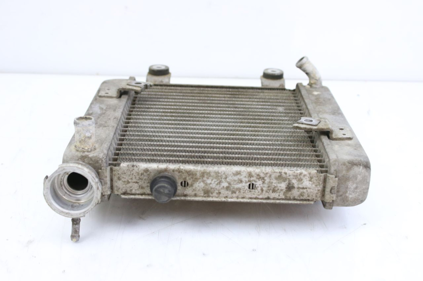 photo de RADIADOR HONDA FES S-WING SWING ABS 125 (2007 - 2015) - Primer plano técnico