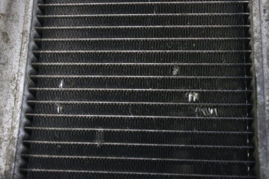 photo de RADIADOR HONDA FES S-WING SWING ABS 125 (2007 - 2015) - Zoom estado de uso