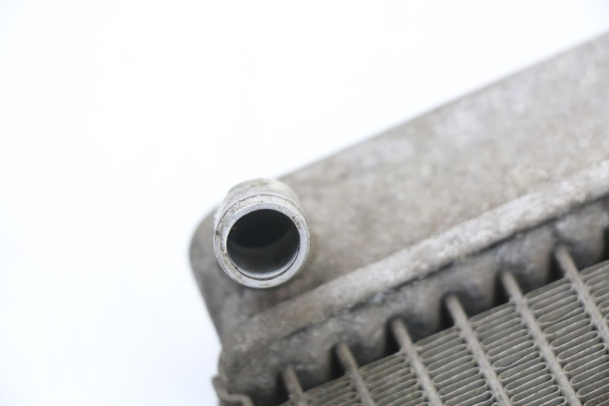 photo de RADIADOR HONDA FES S-WING SWING ABS 125 (2007 - 2015) - Primer plano técnico