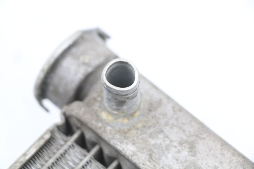 photo de RADIADOR HONDA FES S-WING SWING ABS 125 (2007 - 2015) - Vista general del producto