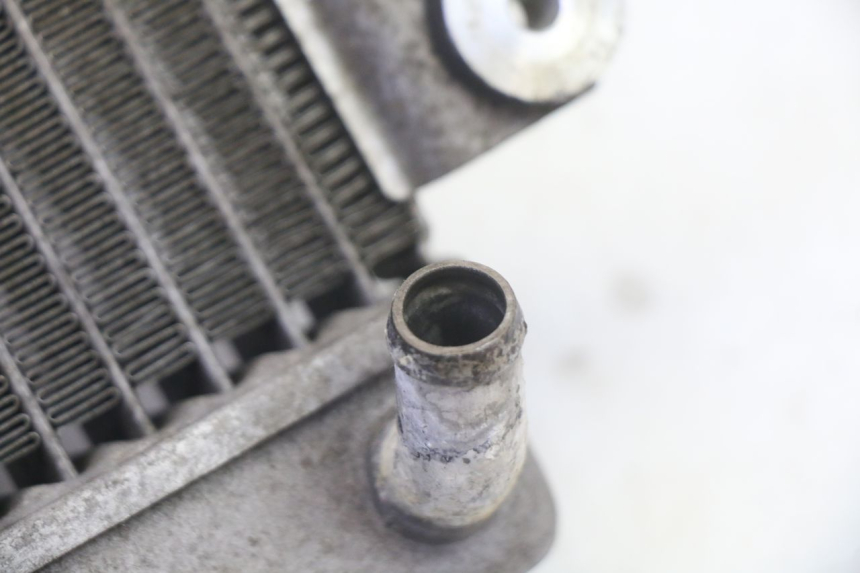 photo de RADIADOR HONDA FES S-WING SWING ABS 125 (2007 - 2015) - Vista general del producto