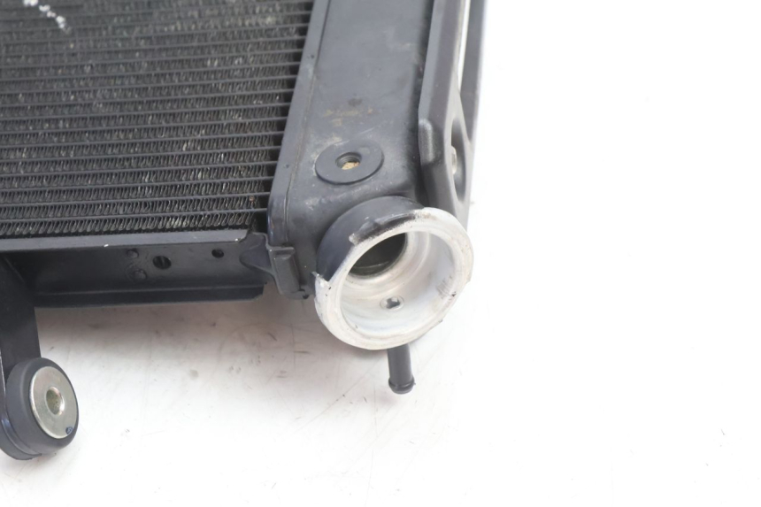 photo de RADIADOR  YAMAHA FZ8 800 (2010 - 2016) - Vista general del producto