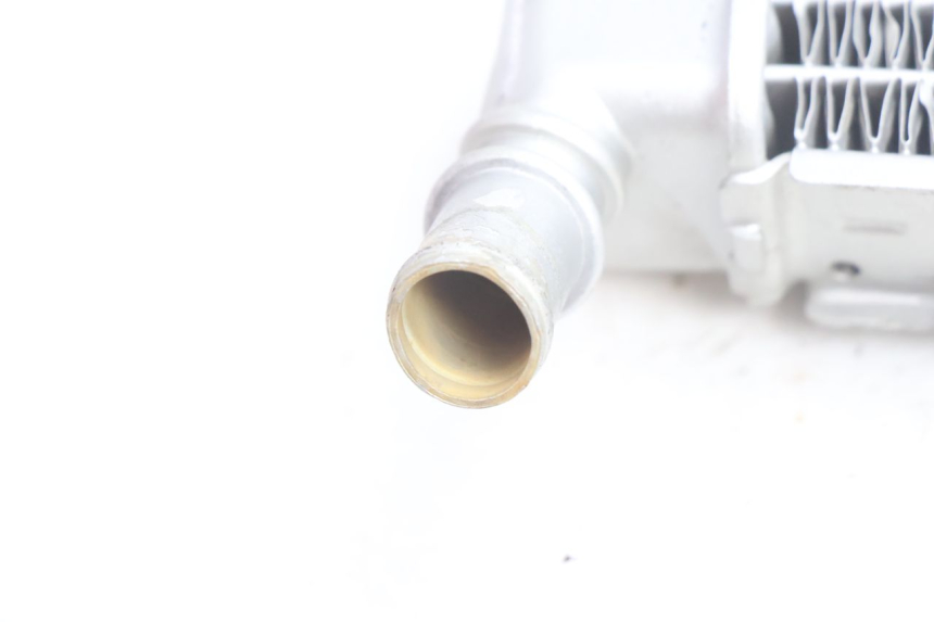 photo de RADIADOR IZQUIERDO  PEUGEOT LUDIX BLASTER 50 (2006 - 2014) - Vista general del producto