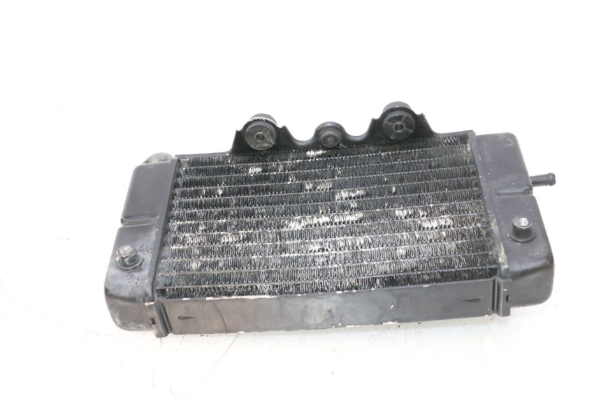 photo de RADIADOR IZQUIERDO  HONDA XRV AFRICA TWIN 750 (1990 - 1992) - Zoom estado de uso