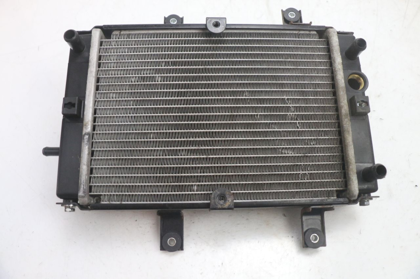 photo de RADIADOR  SYM GTS EVO 125 (2009 - 2013) - Vista principal