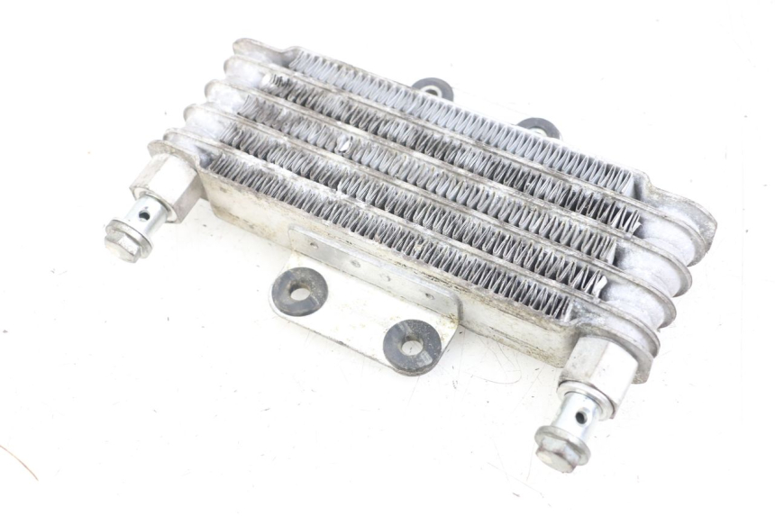 photo de RADIADOR ACEITE HYOSUNG GV AQUILA 125 (2000 - 2009) - Vista general del producto