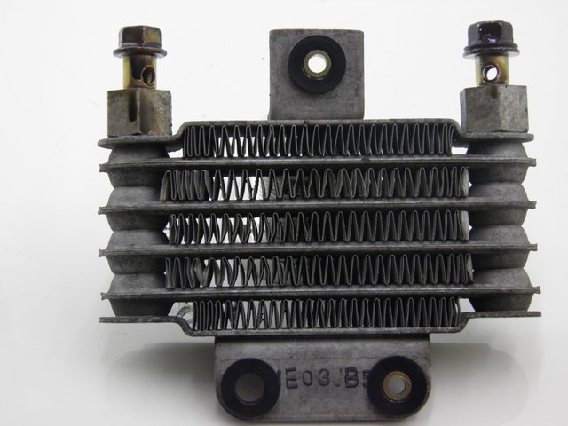 photo de RADIADOR ACEITE DAELIM S2 125 (2008) - Vista principal