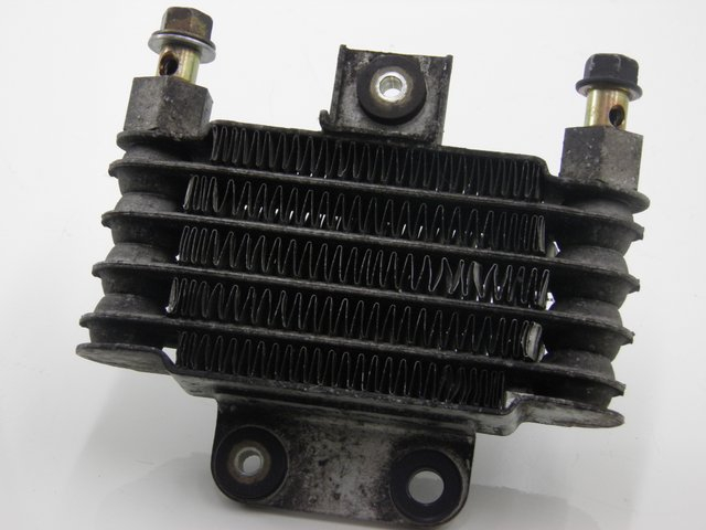 photo de RADIADOR ACEITE DAELIM S2 125 (2008) - Detalle de la pieza