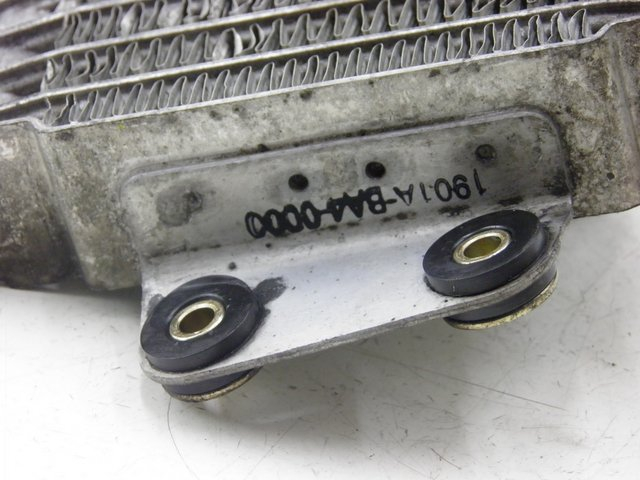 photo de RADIADOR ACEITE DAELIM VJ ROADWIN 125 (2008 - 2010) - Otra perspectiva