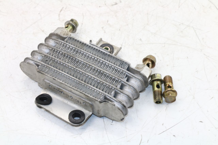 photo de RADIADOR ACEITE DAELIM VJ ROADWIN 125 (2004 - 2007) - Vista principal