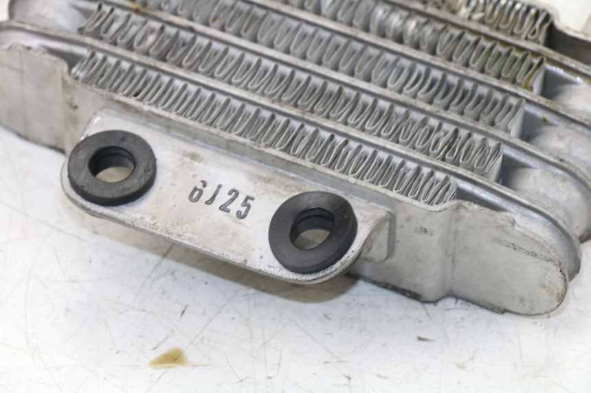 photo de RADIADOR ACEITE DAELIM VJ ROADWIN 125 (2004 - 2007) - Detalle de la pieza