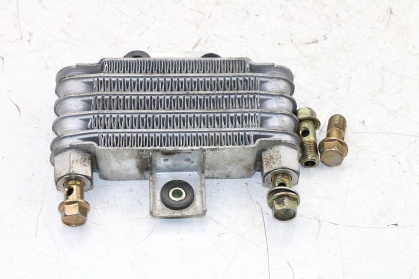 photo de RADIADOR ACEITE DAELIM VJ ROADWIN 125 (2004 - 2007) - Zoom estado de uso