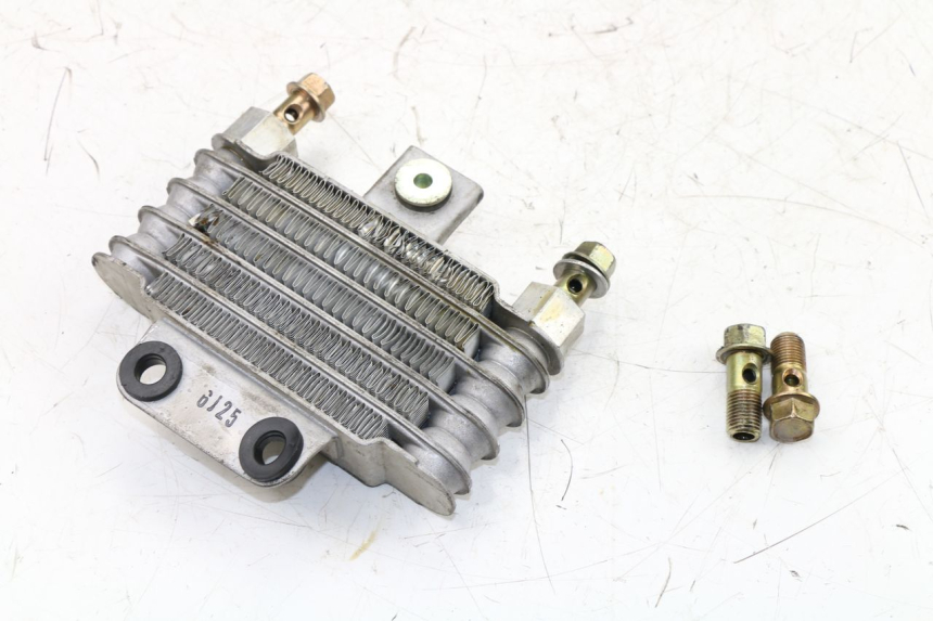 photo de RADIADOR ACEITE DAELIM VJ ROADWIN 125 (2004 - 2007) - Primer plano técnico