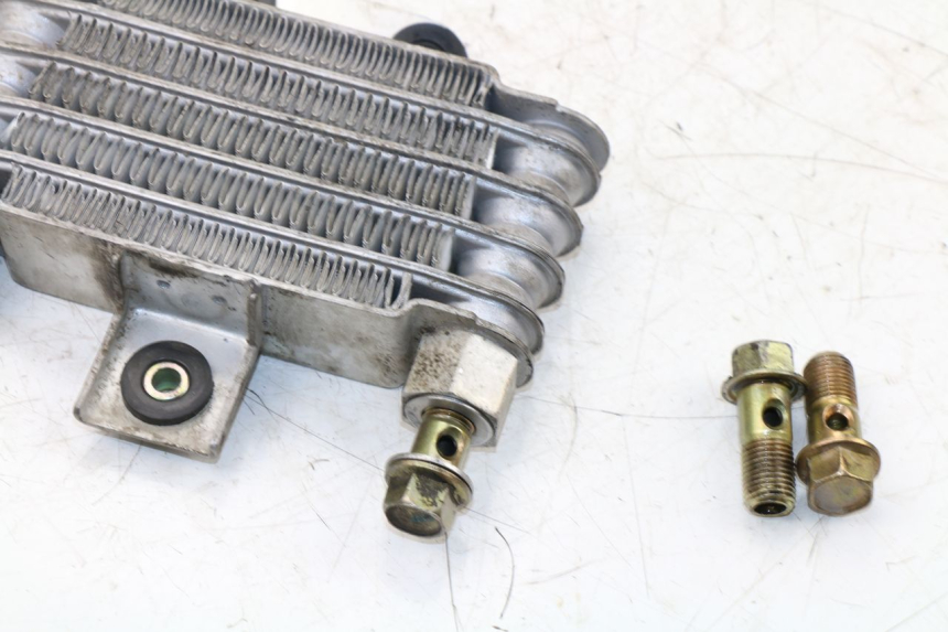 photo de RADIADOR ACEITE DAELIM VJ ROADWIN 125 (2004 - 2007) - Vista general del producto