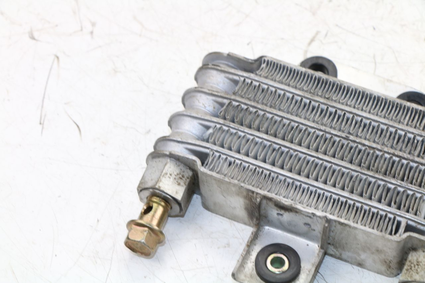 photo de RADIADOR ACEITE DAELIM VJ ROADWIN 125 (2004 - 2007) - Detalles de los puntos de fijación