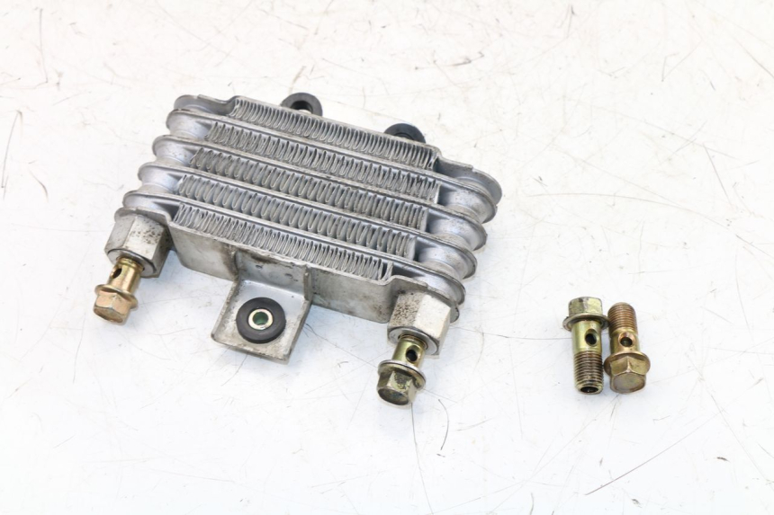 photo de RADIADOR ACEITE DAELIM VJ ROADWIN 125 (2004 - 2007) - Estado de la superficie y material