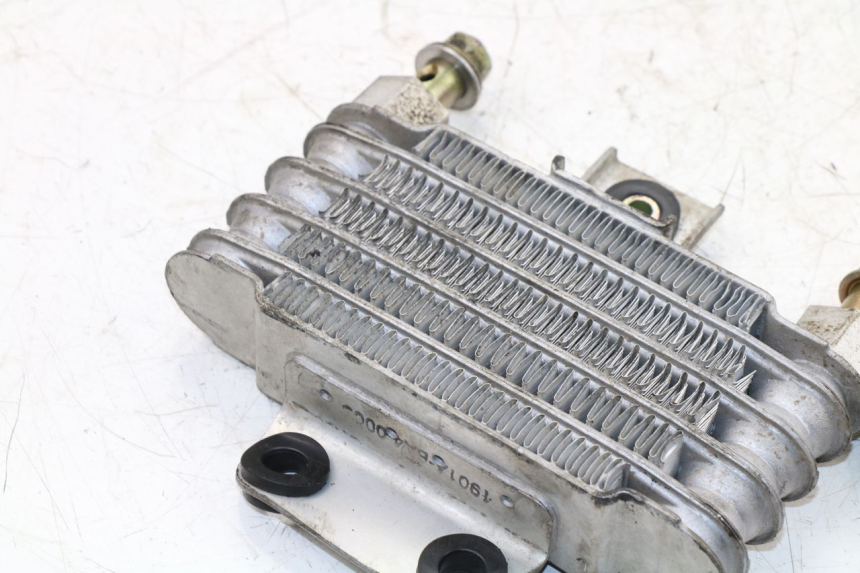 photo de RADIADOR ACEITE DAELIM VJ ROADWIN 125 (2004 - 2007) - Recambio usado revisado