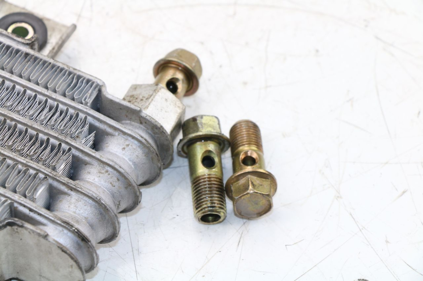 photo de RADIADOR ACEITE DAELIM VJ ROADWIN 125 (2004 - 2007) - Marcados y referencias originales