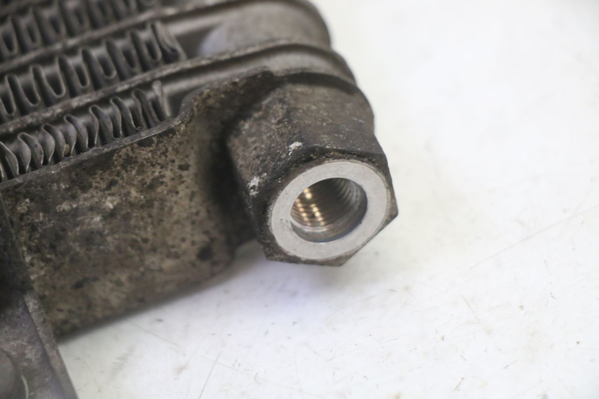 photo de RADIADOR ACEITE DAELIM HISTORY 125 (2001 - 2002) - Vista general del producto