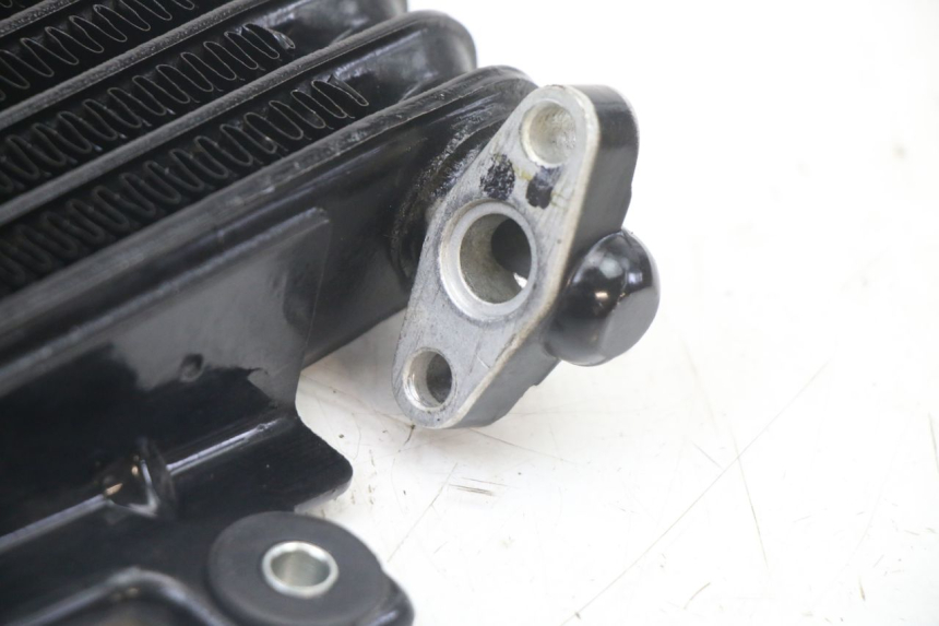 photo de RADIADOR ACEITE ROYAL ENFIELD HYMALAYAN 410 (2016 - 2023) - Vista general del producto