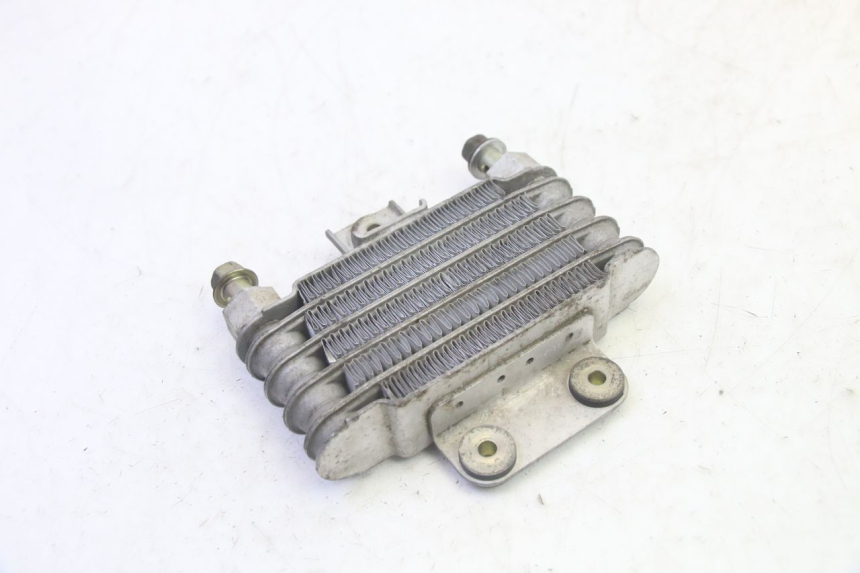 photo de RADIADOR DE ACEITE DAELIM S1 125 (2007 - 2016) - Zoom estado de uso