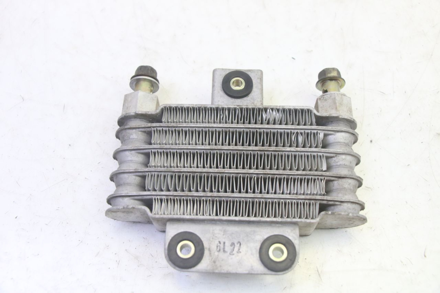 photo de RADIADOR DE ACEITE DAELIM S1 125 (2007 - 2016) - Primer plano técnico