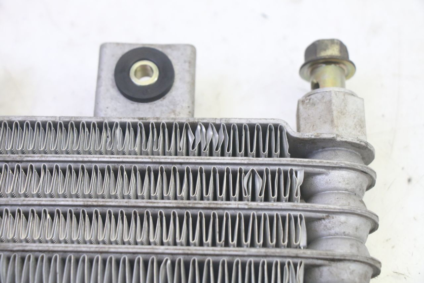 photo de RADIADOR DE ACEITE DAELIM S1 125 (2007 - 2016) - Vista general del producto