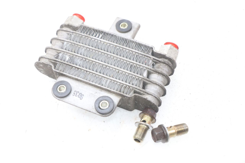 photo de RADIADOR DE ACEITE DAELIM S2 FI 125 (2008 - 2017) - Zoom estado de uso