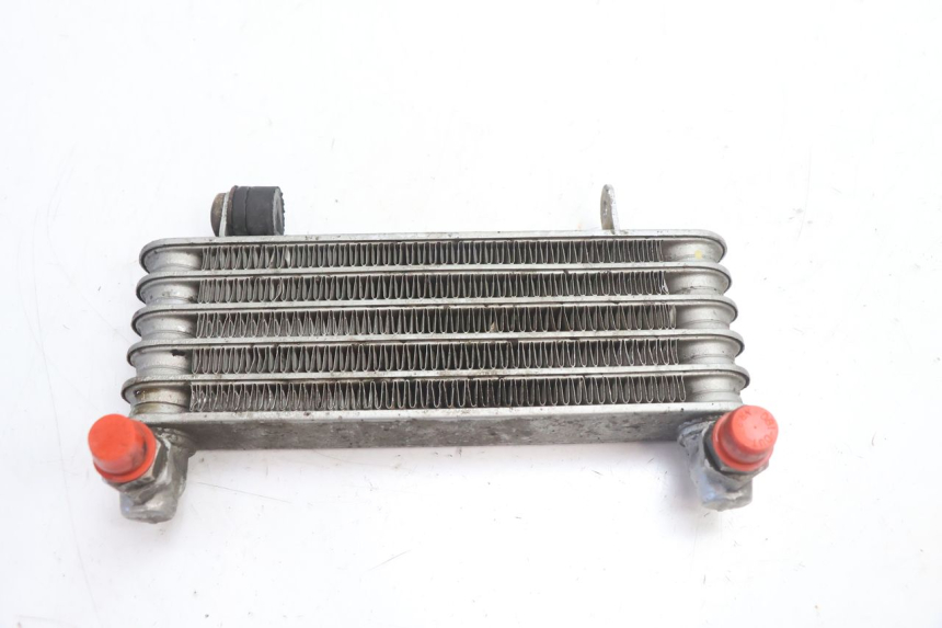 photo de RADIADOR ACEITE DUCATI SS IE DS CARENEE 1000 (2002 - 2006) - Vista principal