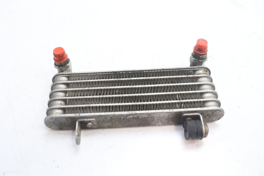 photo de RADIADOR ACEITE DUCATI SS IE DS CARENEE 1000 (2002 - 2006) - Detalle de la pieza