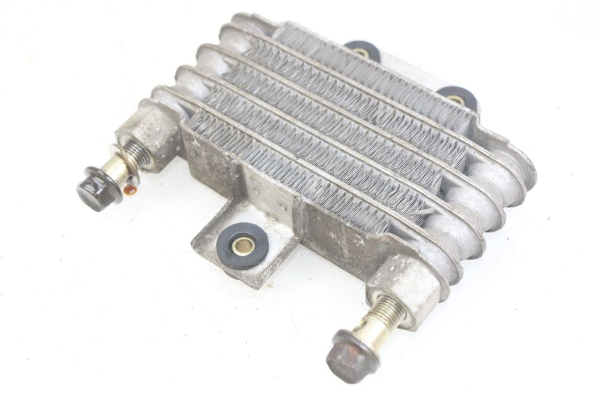 photo de RADIADOR DE ACEITE DAELIM VJ ROADWIN FI 125 (2008 - 2017) - Otra perspectiva