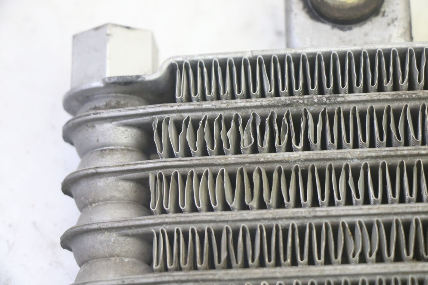 photo de RADIADOR DE ACEITE DAELIM VJ ROADWIN FI 125 (2008 - 2017) - Zoom estado de uso