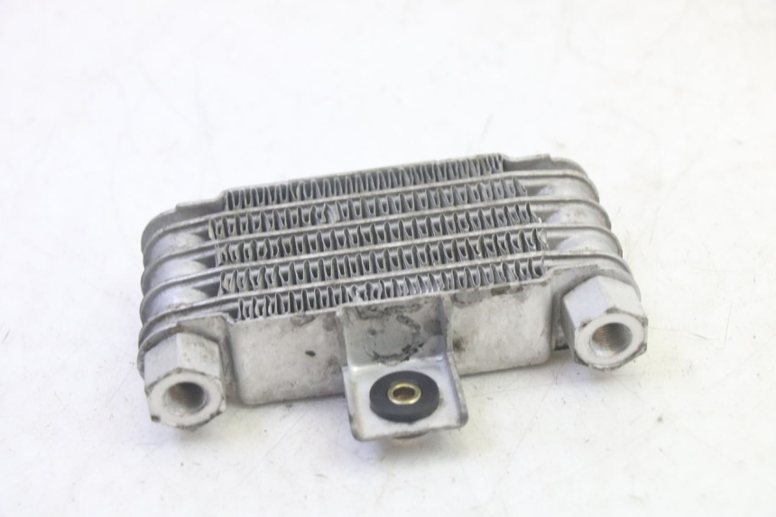 photo de RADIADOR DE ACEITE DAELIM VJ ROADWIN FI 125 (2008 - 2017) - Otra perspectiva