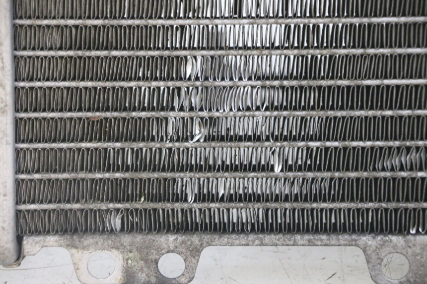 photo de RADIADOR  PEUGEOT JET FORCE CARBU 50 (2003 - 2016) - Inspección visual detallada