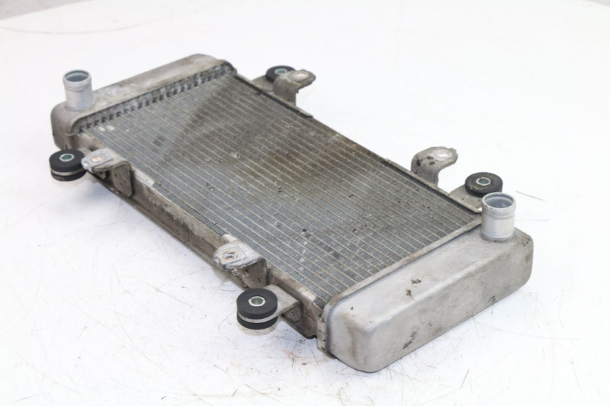 photo de RADIADOR  KAWASAKI NINJA 300 (2012 - 2017) - Detalle de la pieza