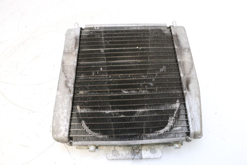 photo de RADIADOR  PIAGGIO MP3 125 (2006 - 2014) - Vista general del producto