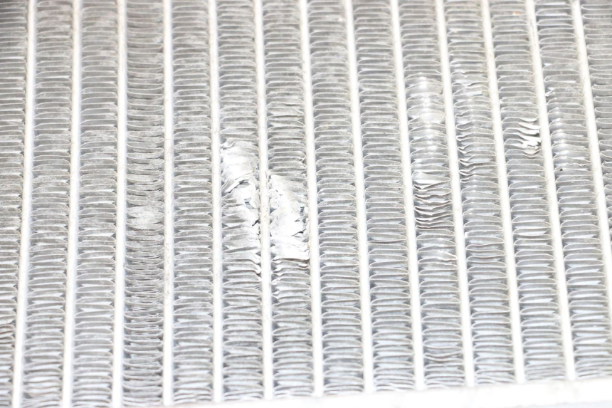 photo de RADIADOR GILERA NEXUS 125 (2009 - 2013) - Vista general del producto