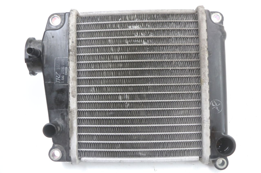 photo de RADIADOR HONDA NHX LEAD 110 (2008 - 2010) - Vista principal