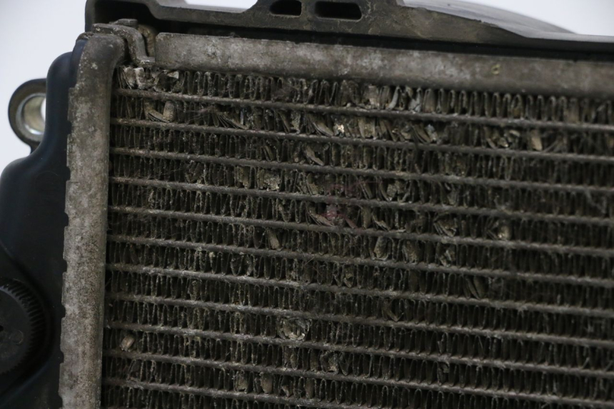 photo de RADIADOR  HONDA PCX (JF57/JF64) 125 (2014 - 2018) - Características distintivas