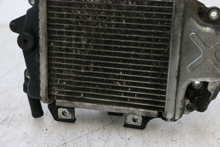 photo de RADIADOR  HONDA PCX (JF57/JF64) 125 (2014 - 2018) - Marcados y referencias originales