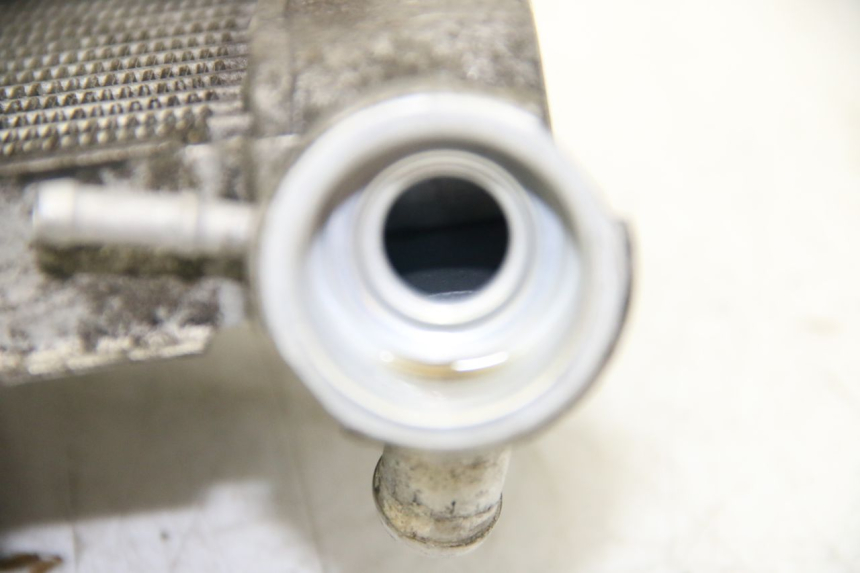 photo de RADIADOR HONDA PES PS I 125 (2006 - 2012) - Zoom estado de uso