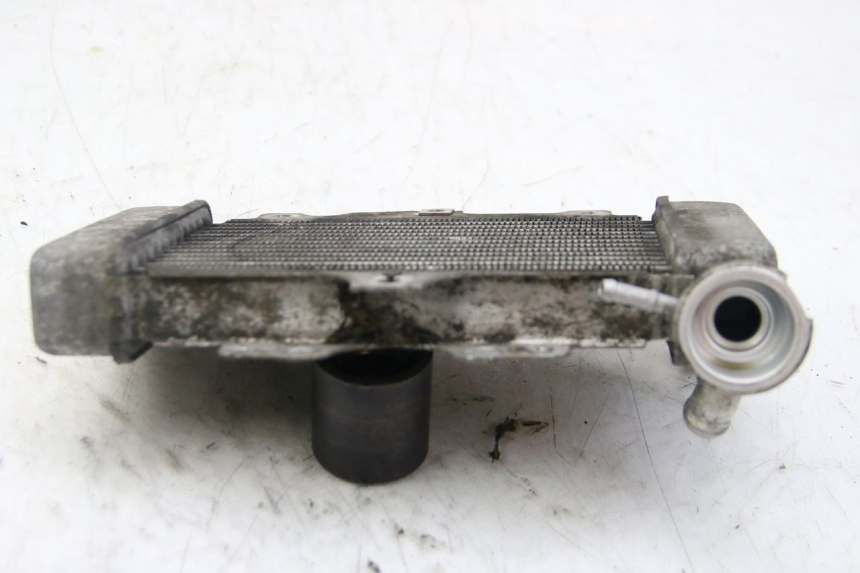 photo de RADIADOR HONDA PES PS I 125 (2006 - 2012) - Otra perspectiva